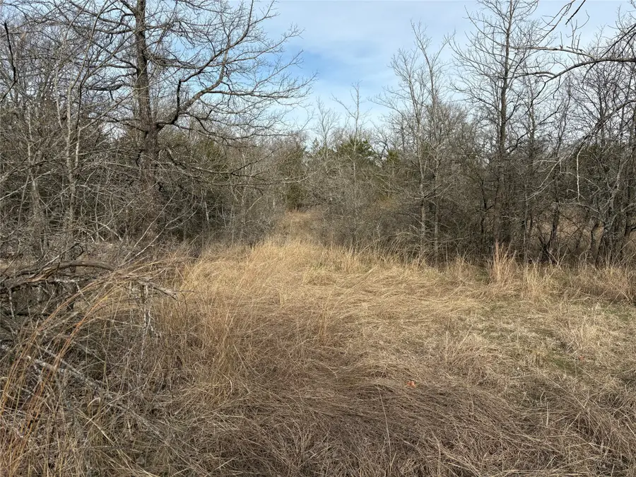 TBD Stribbling, Whitesboro, TX 76273 - #3