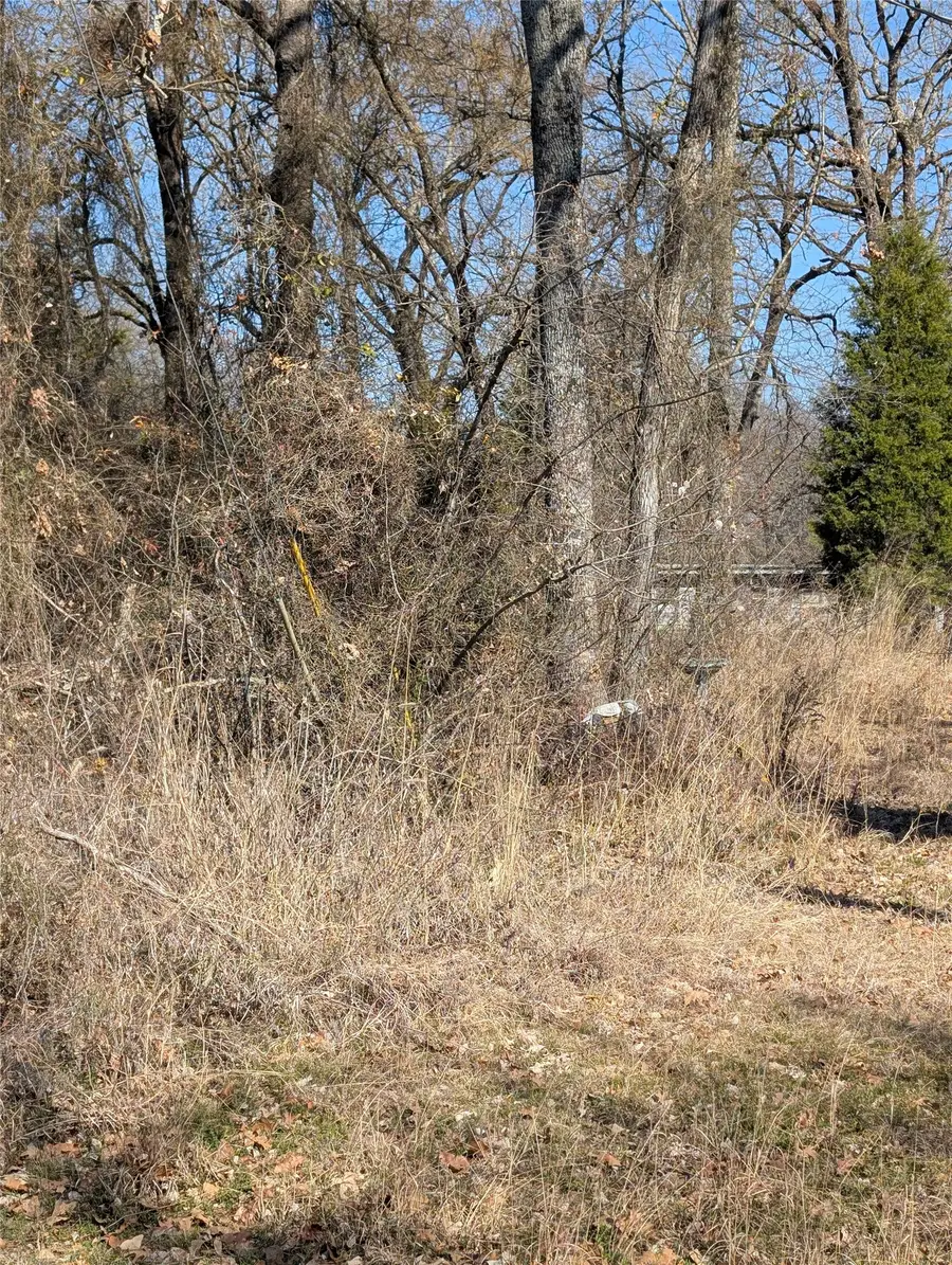 158 Van Horn Drive, Mabank, TX 75156 - #2