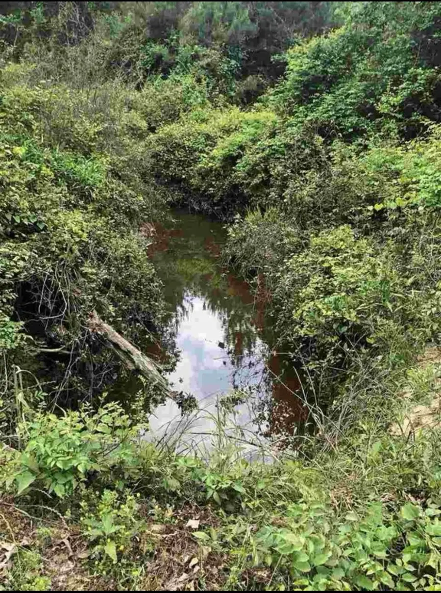 TBD Aster Road, Gilmer, TX 75644 - #3