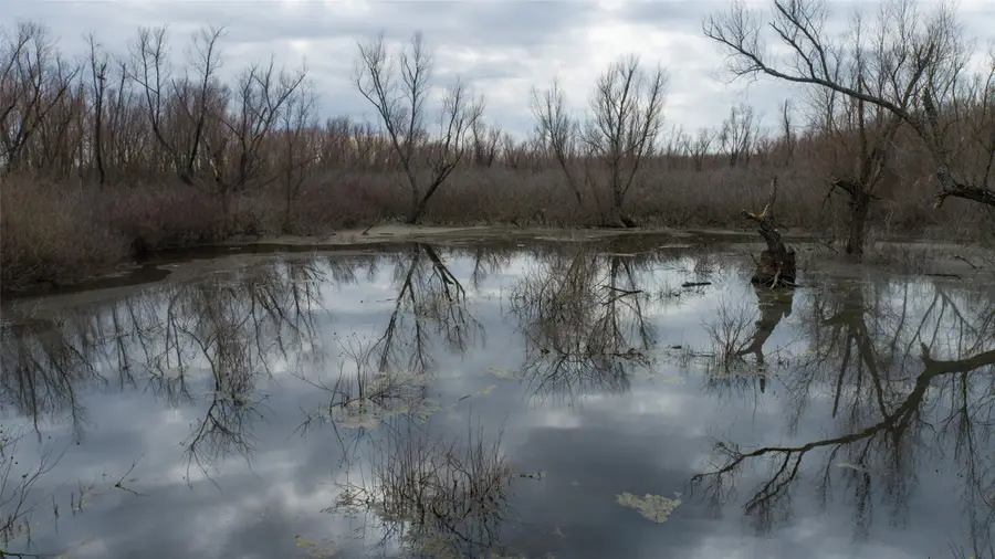 TBD Butler Pool Rd, Idabel, OK 74745 - #3