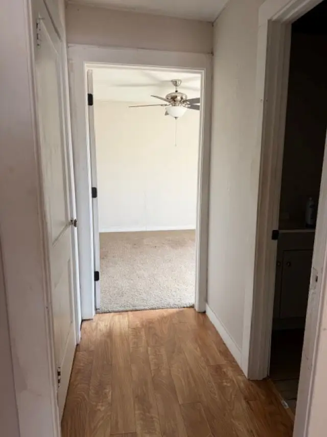 333 County Rd 1775, Mount Pleasant, TX 75455 - #3