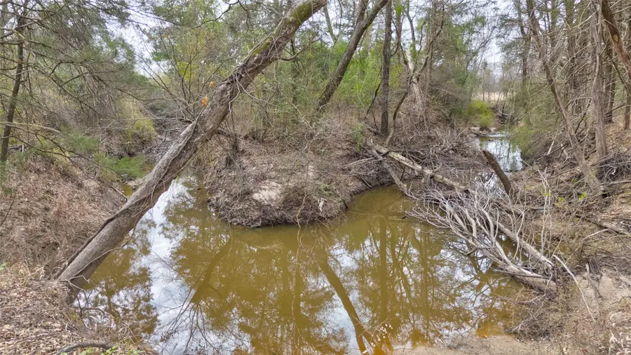 1411 Van Zandt County Road 2139, Wills Point, TX 75103 - #2