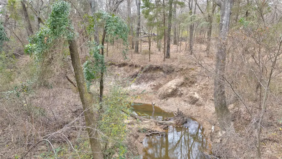 1411 Van Zandt County Road 2139, Wills Point, TX 75103 - #3