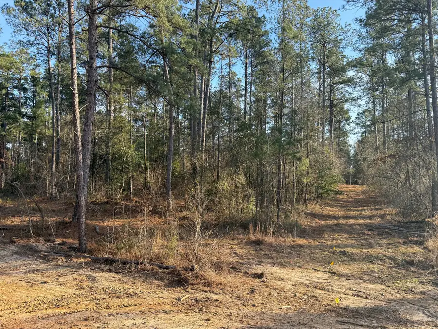 Lot 6 King Estate Lane, Ruston, LA 71270 - #2
