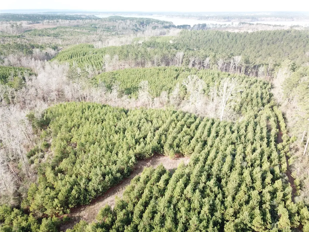 00 Off Mcmanus Road, Zwolle, LA 71486 - #1