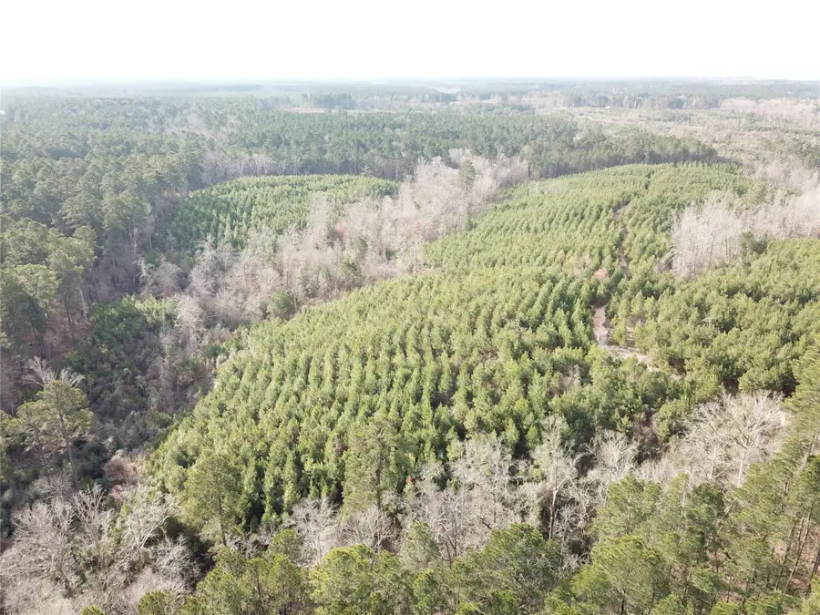 00 Off Mcmanus Road, Zwolle, LA 71486 - #2