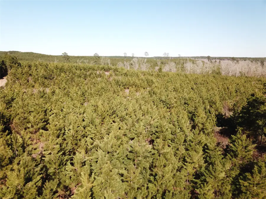 00 Off Hwy 517, Gibsland, LA 71028 - #2