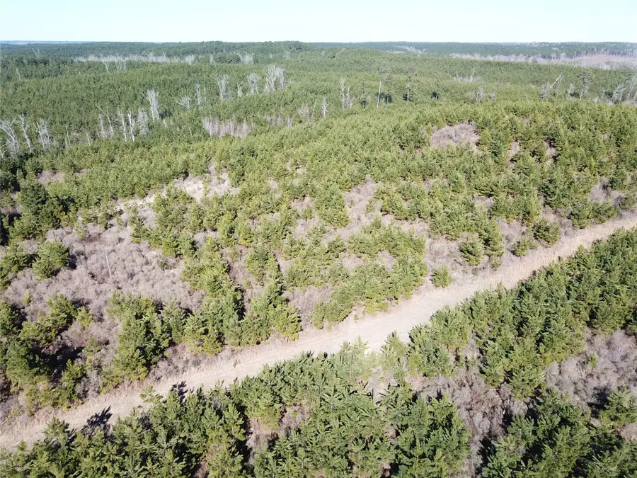 00 Off Hwy 517, Gibsland, LA 71028 - #3