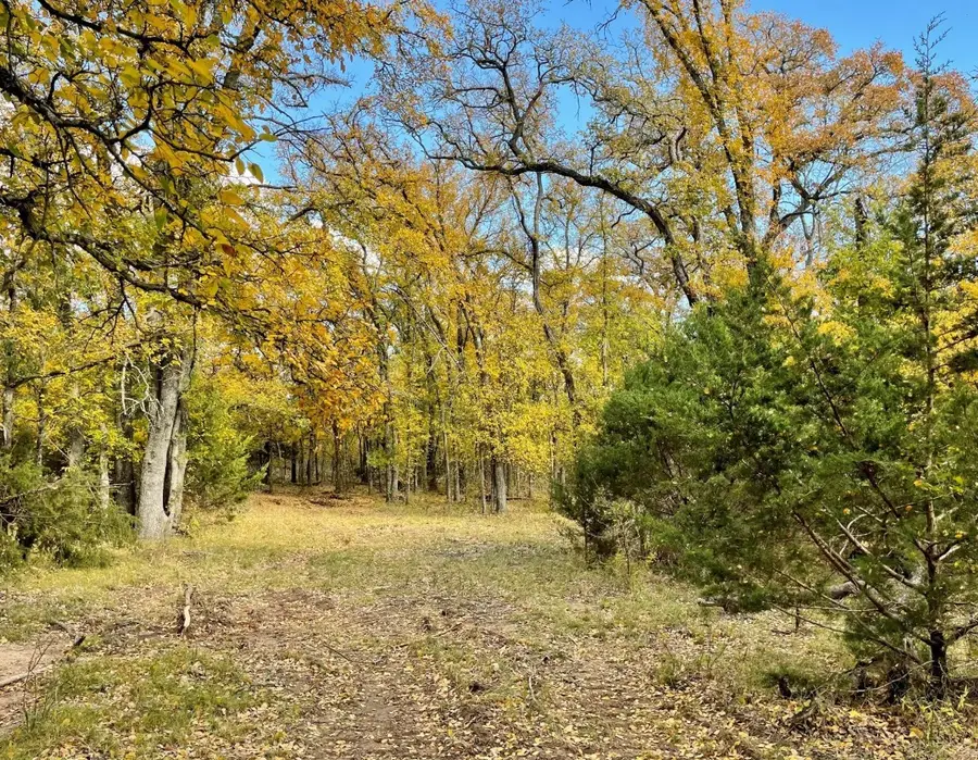 350 Indian Camp Road, Weatherford, TX 76088 - #3