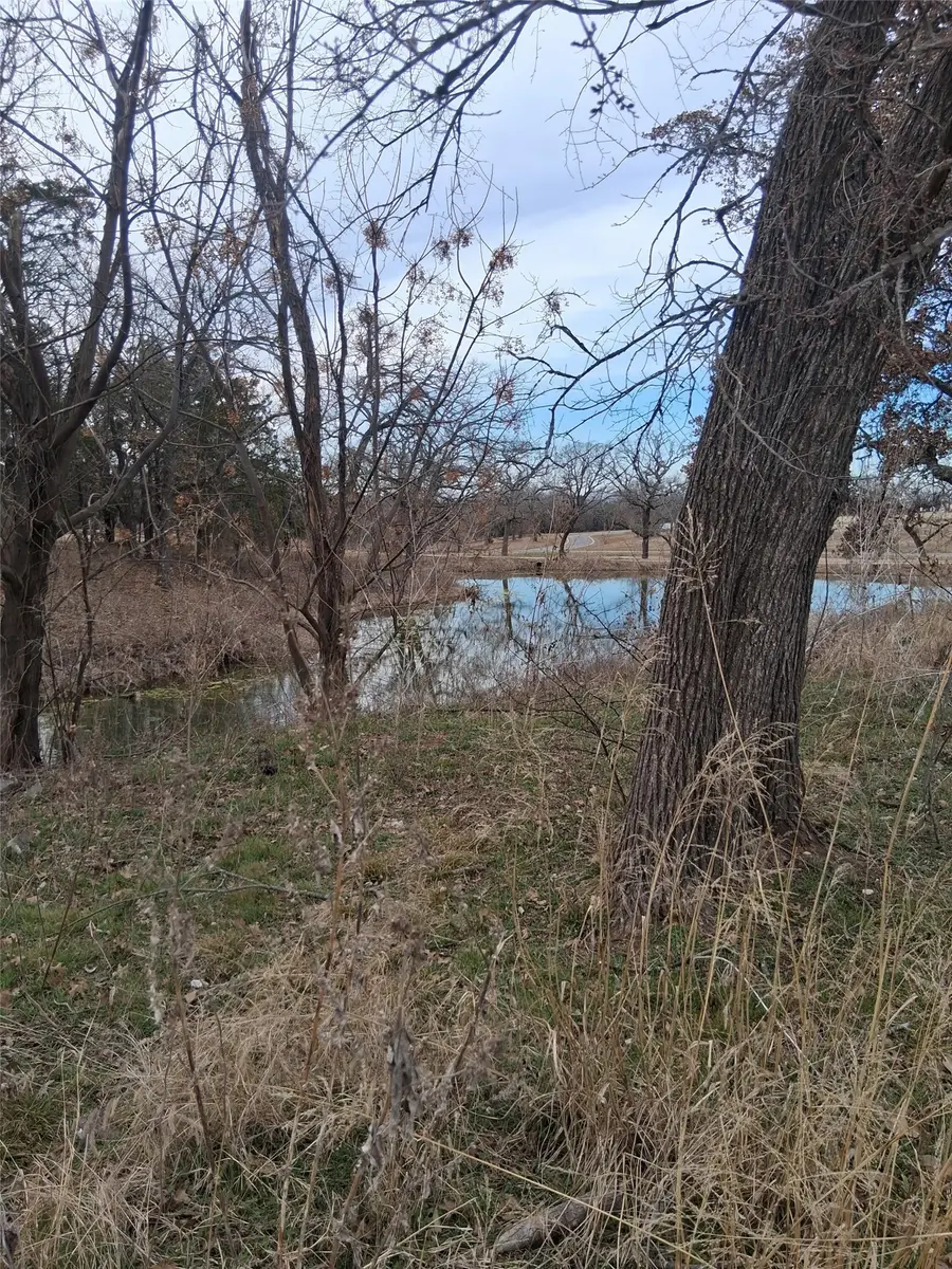 112 Lakelands Court, Gordonville, TX 76245 - #2