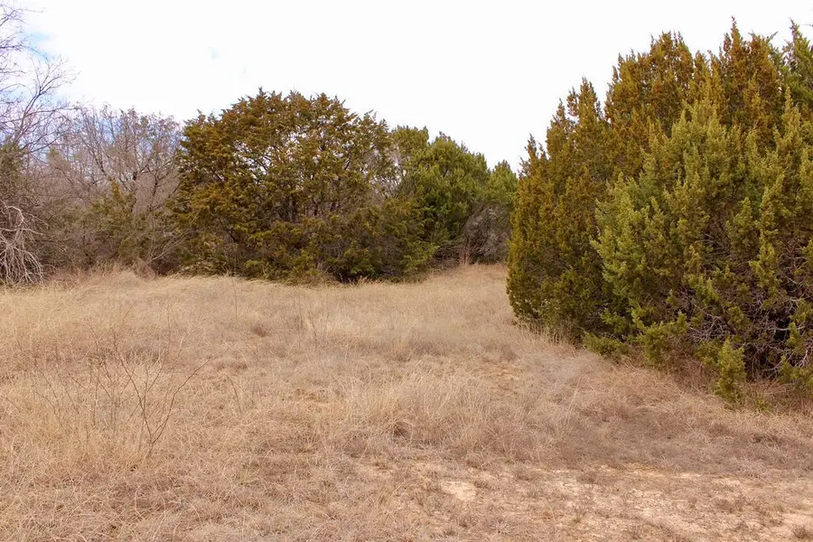 5732 Highland Drive, Granbury, TX 76048 - #3