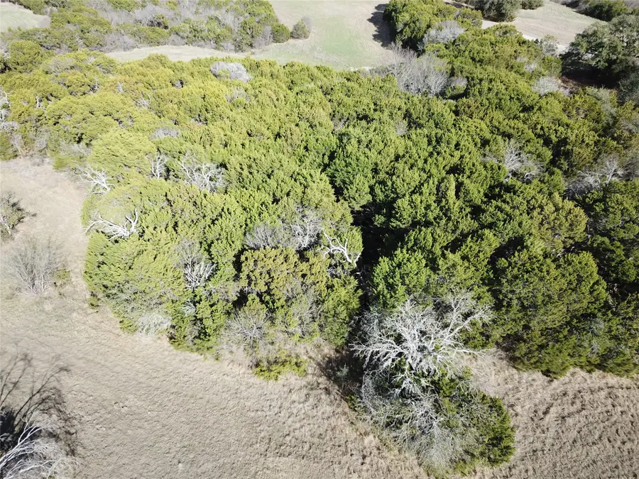 8333 Fullerton Drive, Cleburne, TX 76033 - #3