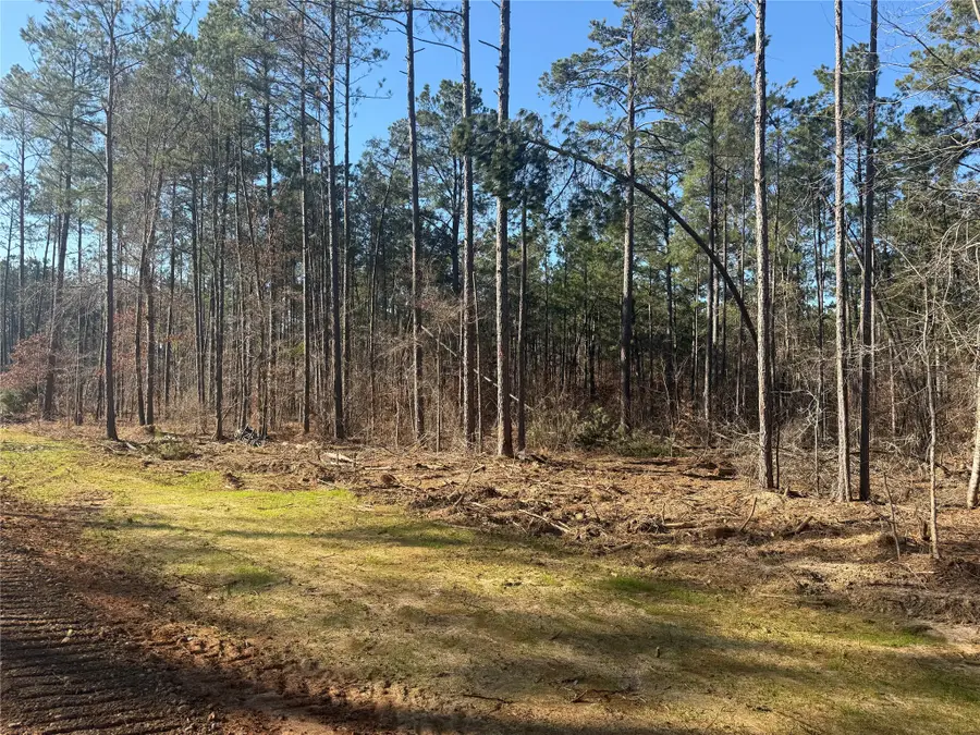 Lot 10 King Estate Lane, Ruston, LA 71270 - #3