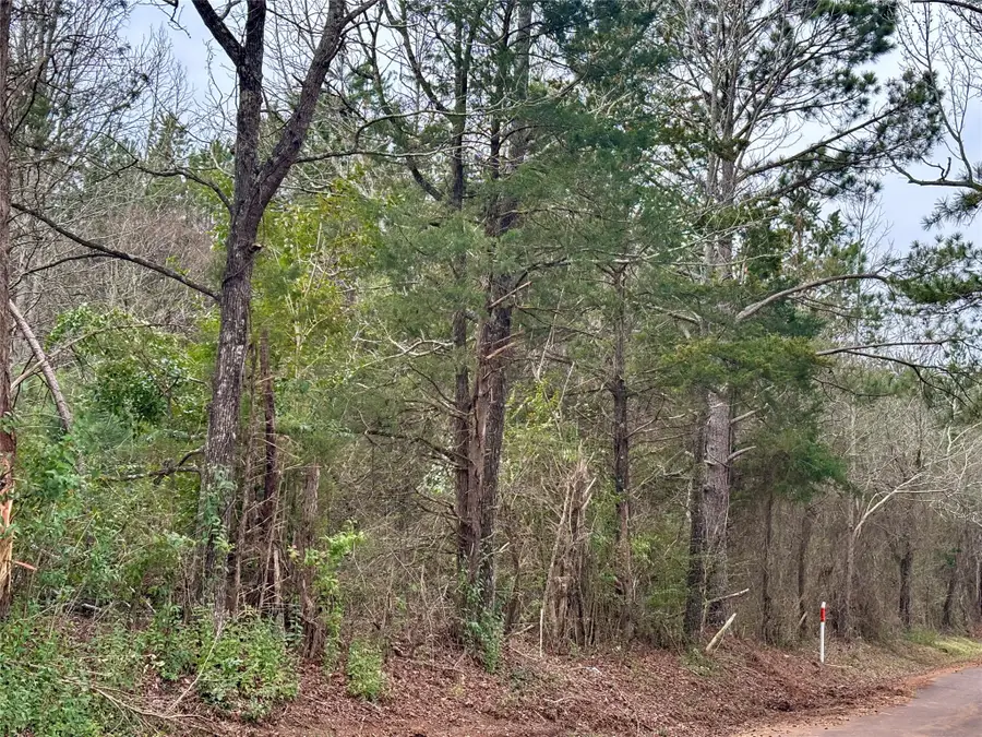 4451 County Road 3206 W, Mount Enterprise, TX 75681 - #3