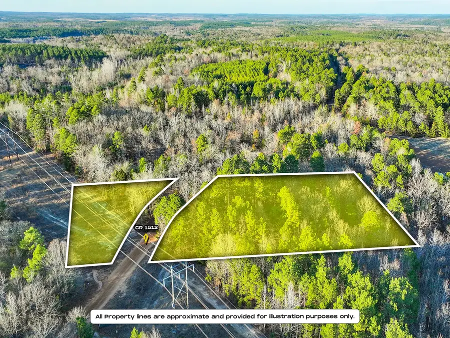 TBD County Road 1512, Avinger, TX 75630 - #2