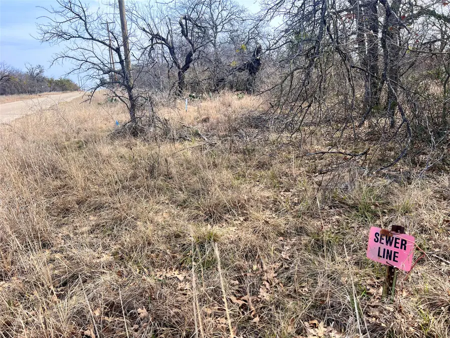 Lot 64 Janda Lane, Brownwood, TX 76801 - #3