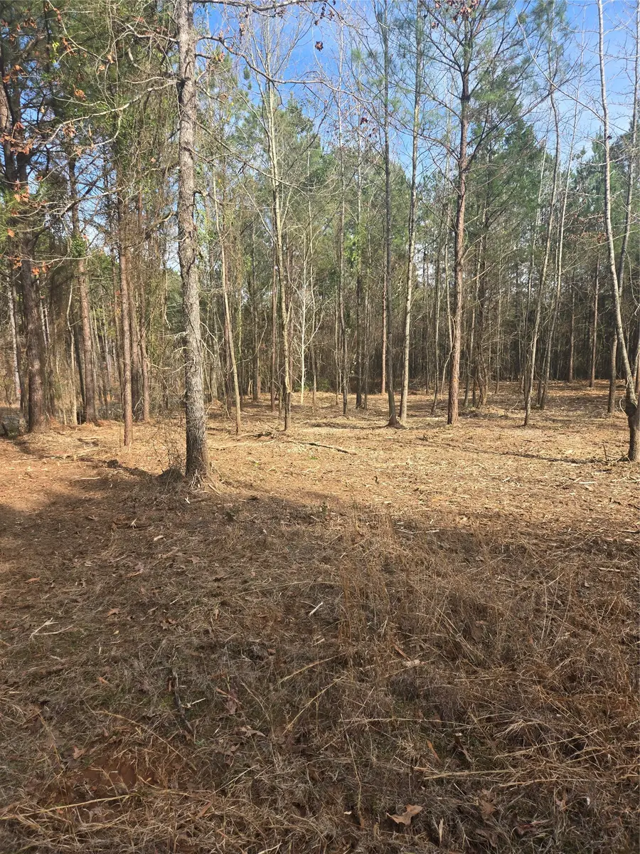 0 Line Road, Homer, LA 71040 - #3