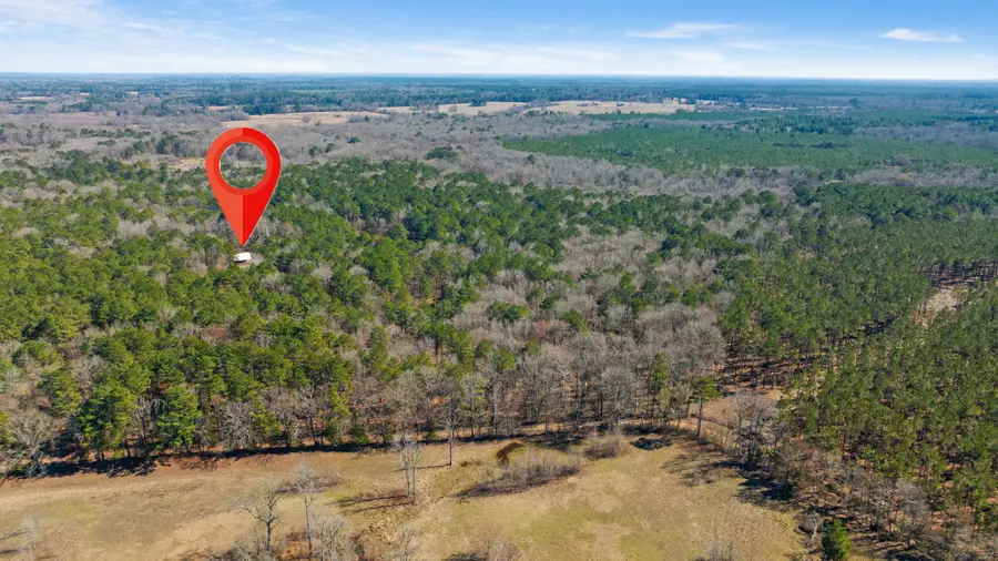 TBD County Road 2237, Bagwell, TX 75412 - #3