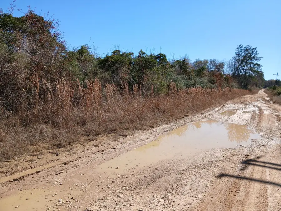 15052 Fm-770, Saratoga, TX 77585 - #2