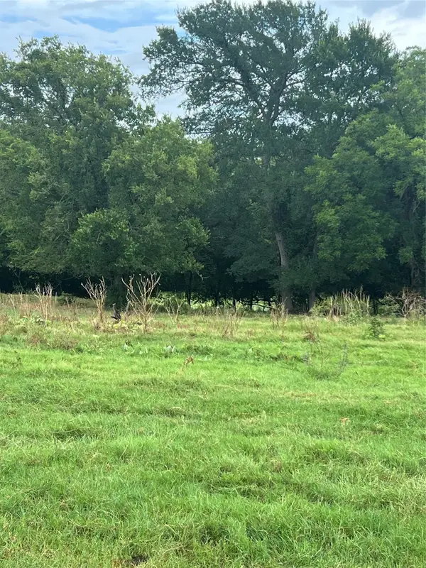 TBD Abel Lane, Boyd, TX 76023