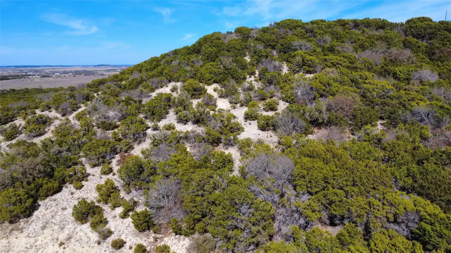 Lot 166 Private Road 16022, Jonesboro, TX 76538 - #2