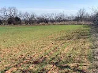 TBD Cr 176, Ovalo, TX 79541 - #1
