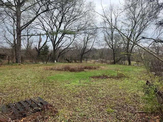 311 S Jernigan Street, Bells, TX 75414 - #3