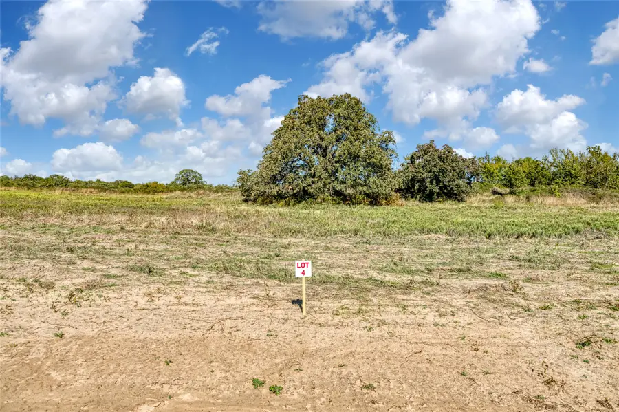 TBD Coyote Meadow Lane, Perrin, TX 76486 - #3