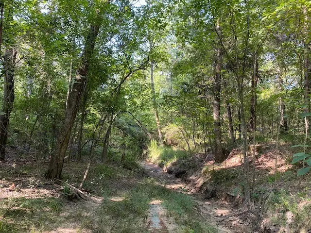 TR 3-B Cr 41514, Athens, TX 75751 - #2