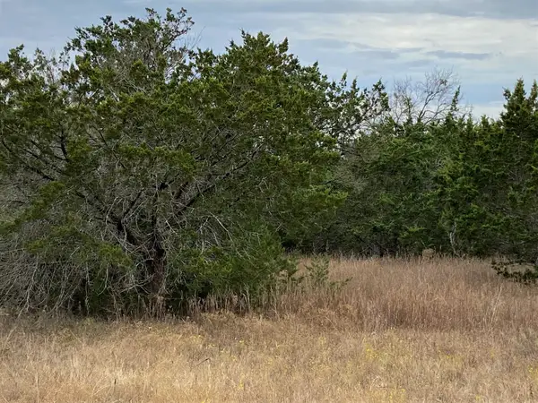 36064 Cedar Ridge Drive, Whitney, TX 76692