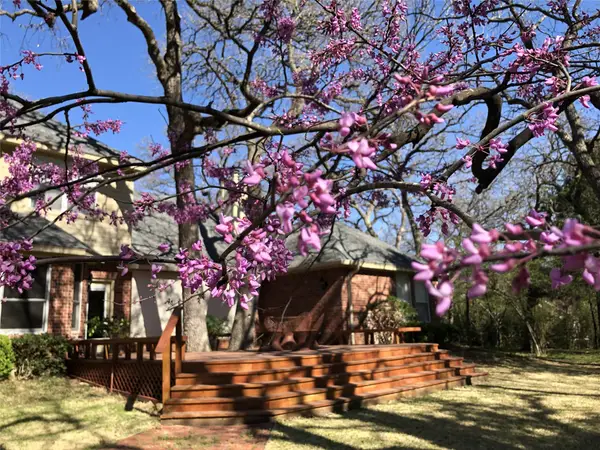 298 Comanche Moon Trail, Decatur, TX 76234