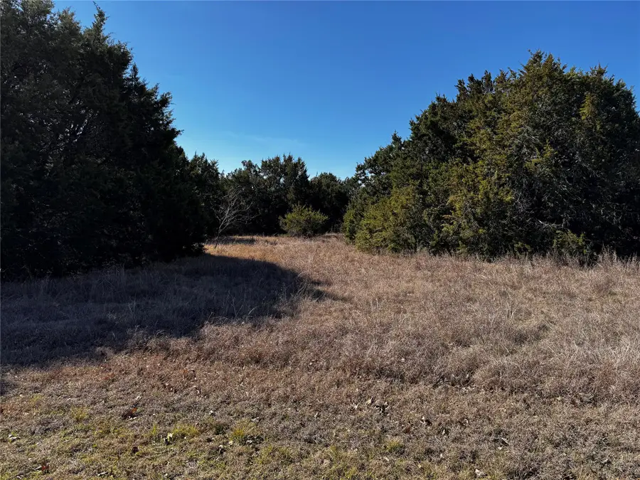 43096 Coneflower, Whitney, TX 76692 - #3