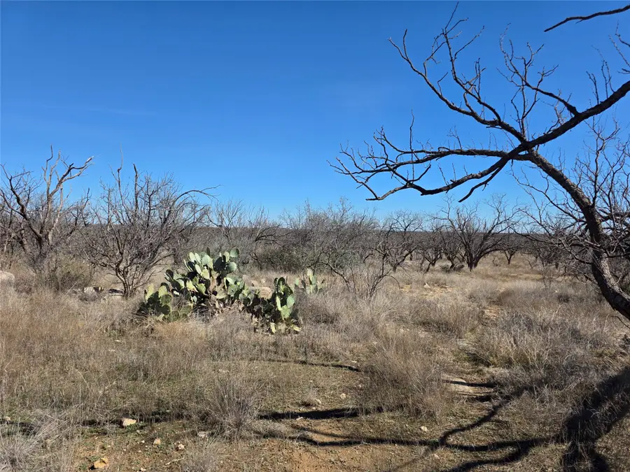 1709 County Road 330, Voss, TX 76888 - #2