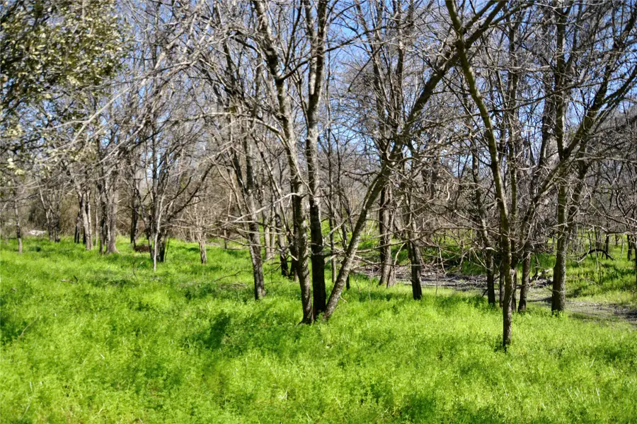 1407 W Maple, Goldthwaite, TX 76844 - #2