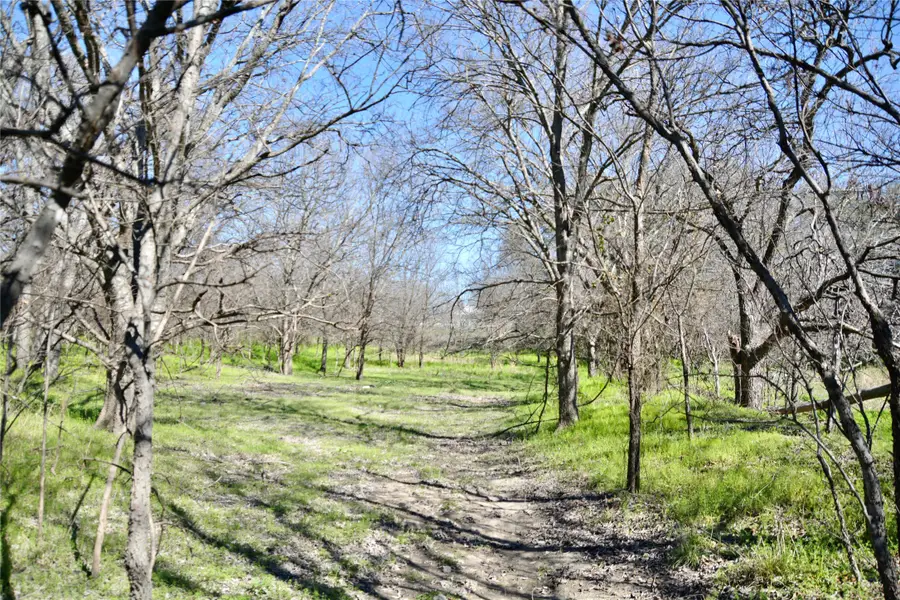 1407 W Maple, Goldthwaite, TX 76844 - #3