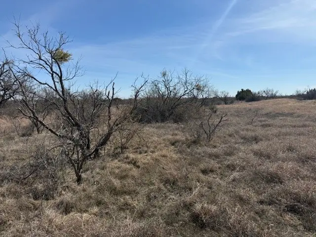 TBD 5.37 Acres Valley View Road, Brownwood, TX 76801 - #2