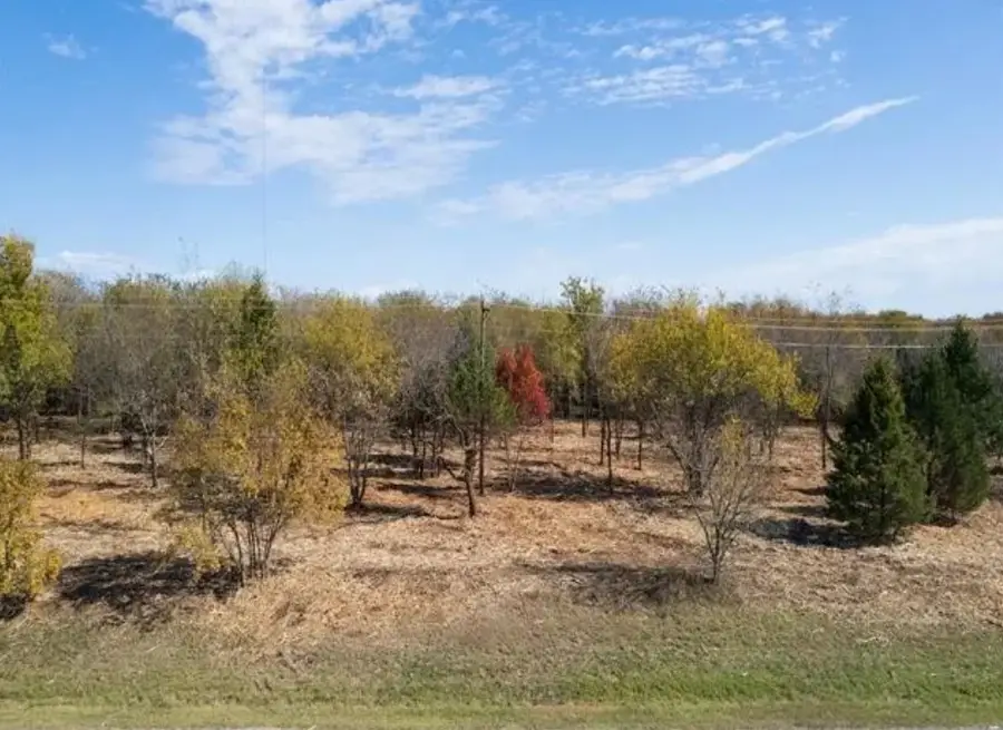 TBD 11.609 ACRES Ethel Cemetery Road, Collinsville, TX 76233 - #3