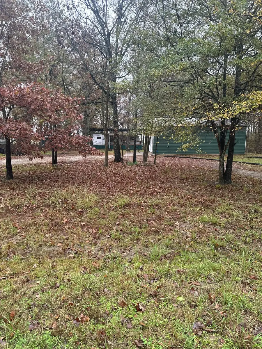 225 County Road 1975, Yantis, TX 75497 - #2