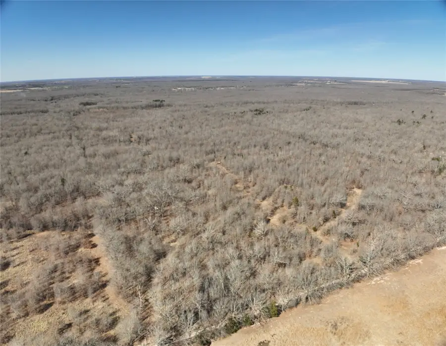 TBD County Road 1249, Detroit, TX 75436 - #2