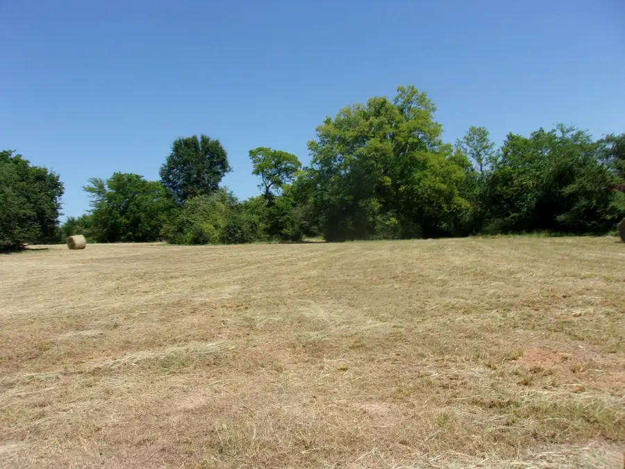 2846 County Road 2415, Pickton, TX 75471 - #2