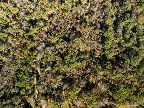 TBD Vz County Road 4815, Chandler, TX 75758