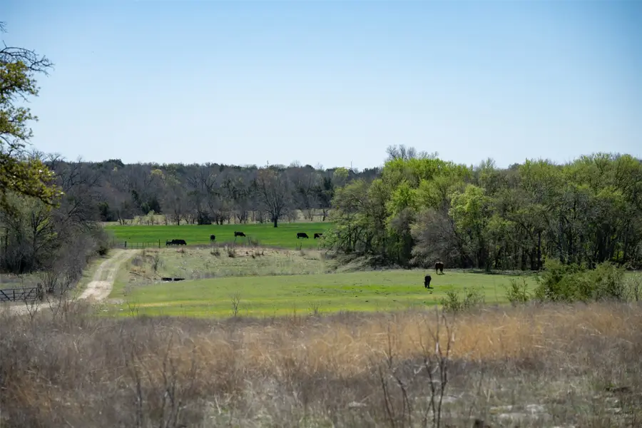 1208 Private Road 1399, Dublin, TX 76446 - #2