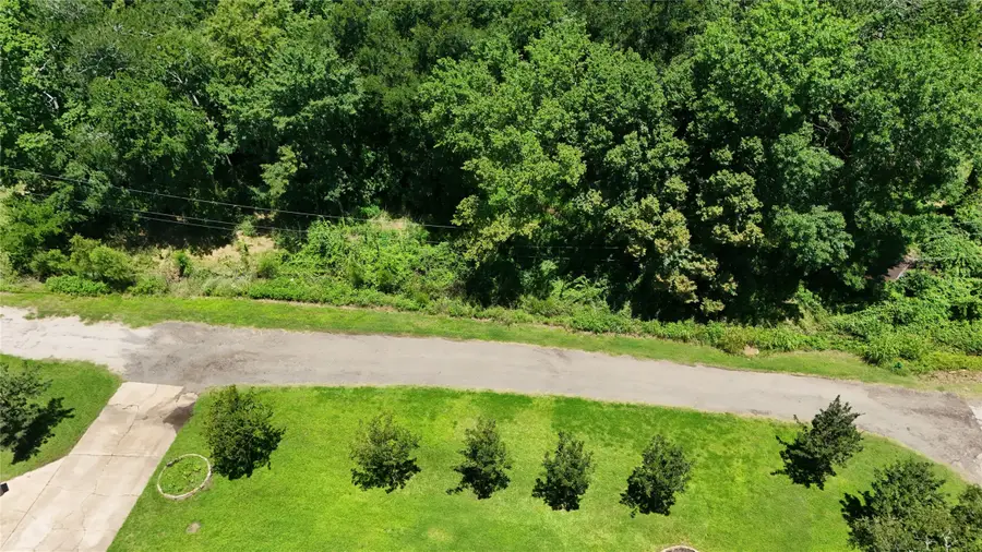 TBD Ripplewood Drive, Paris, TX 75462 - #3