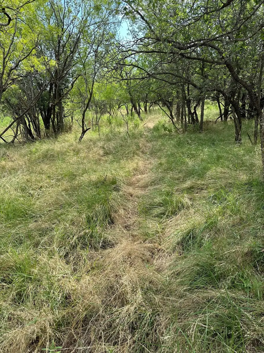 Tract 19 Cr 150, Abilene, TX 79601 - #2