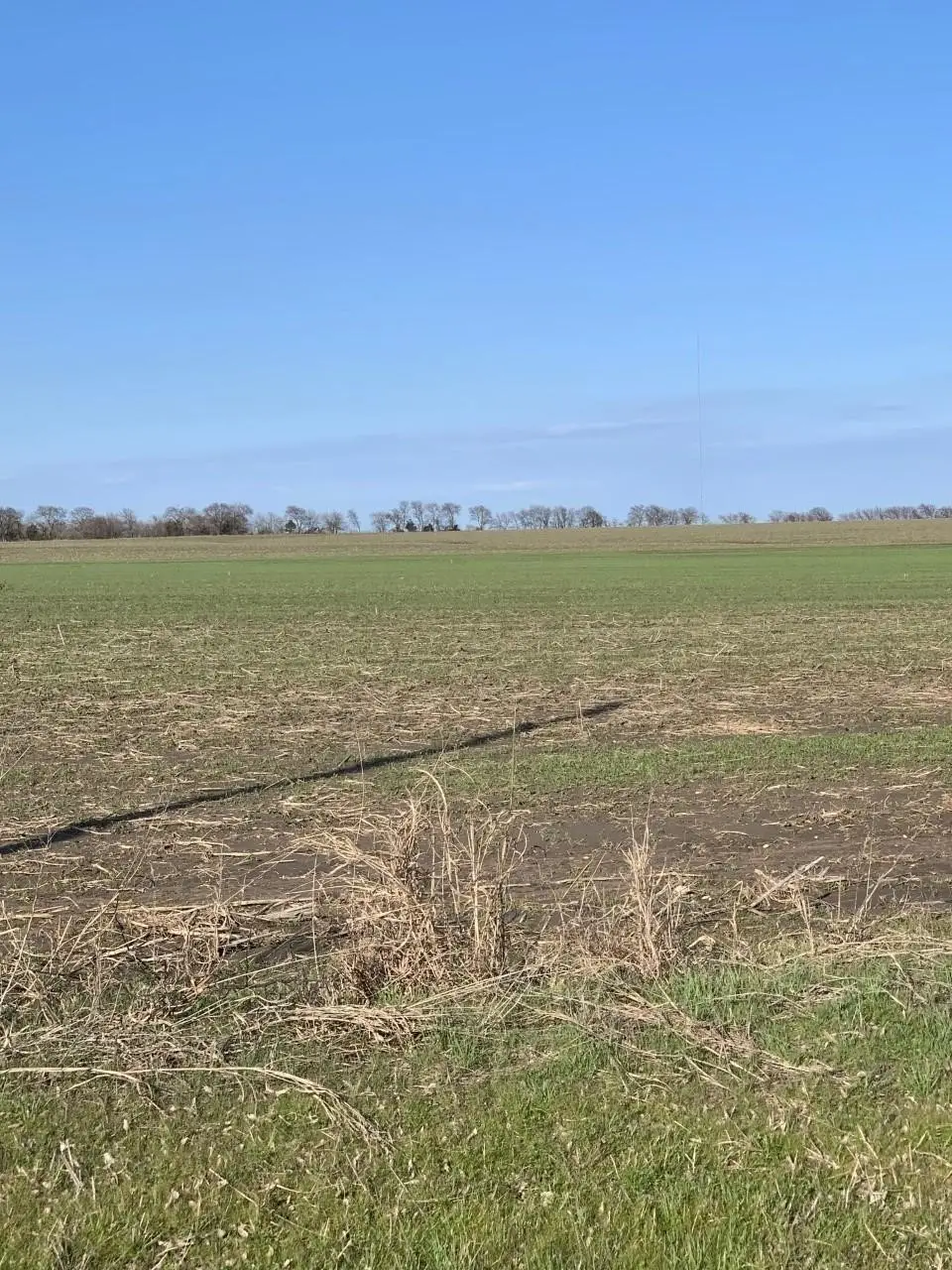 TBD Airport Road, Tioga, TX 76271 - #1