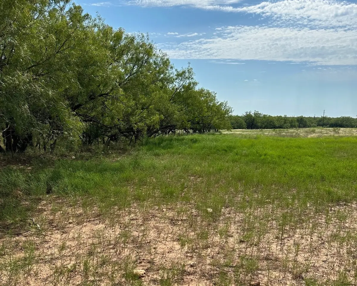 Tract 14 AC Cr 105, Abilene, TX 79601 - #1
