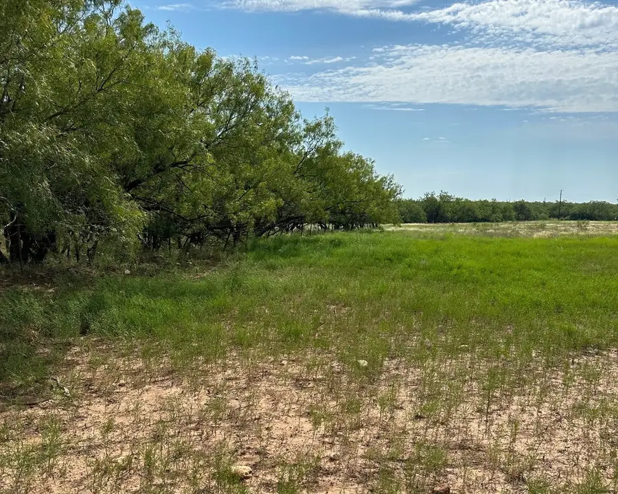 Tract 13 AC Cr 105, Abilene, TX 79601 - #3