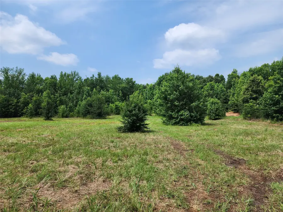 0001 S Hwy 69, Mineola, TX 75773 - #2