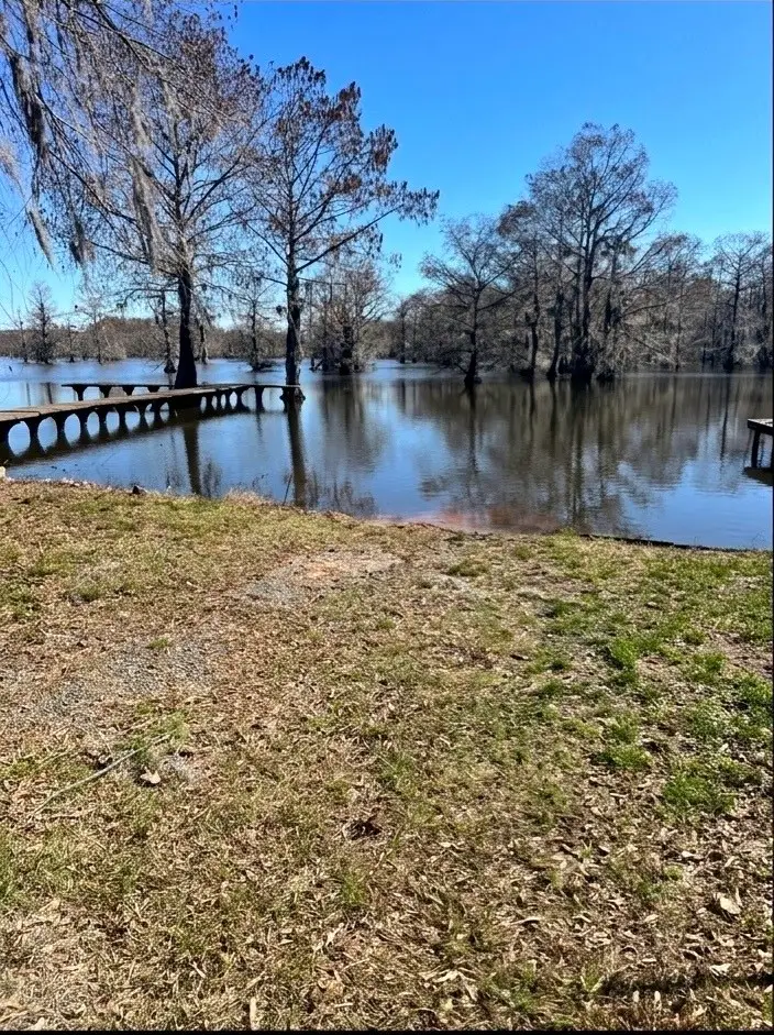 343 Evangeline Drive, Elm Grove, LA 71051 - #3