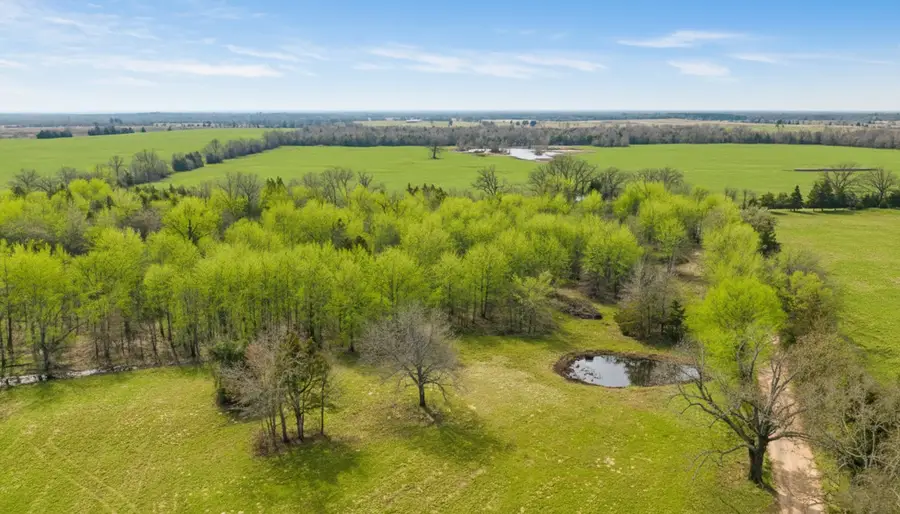 TBD County Road 1420, Bogata, TX 75417 - #3